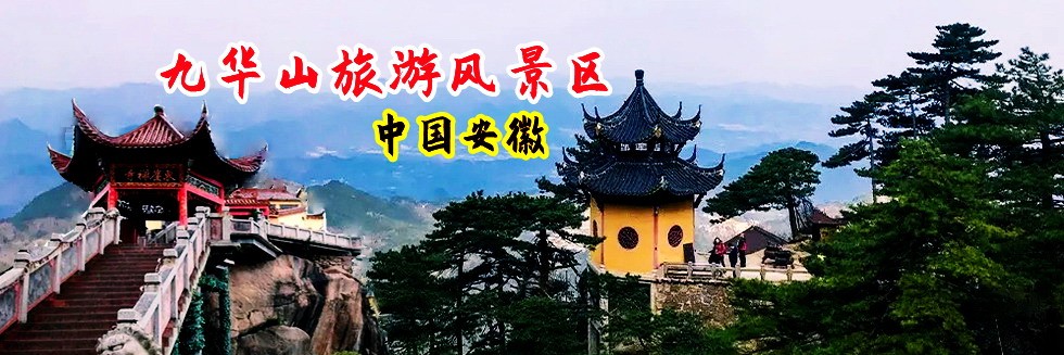 高H肉穴视频
